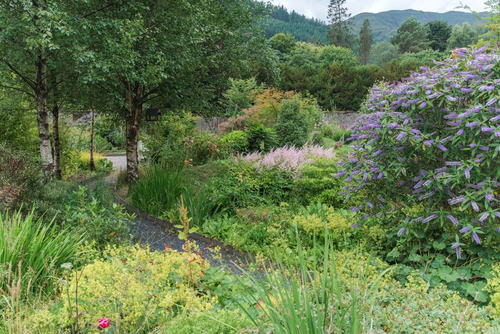 Glenfinnart-Walled-Garden-Ardentinny-Argyll-Forest-Park-2097.jpg