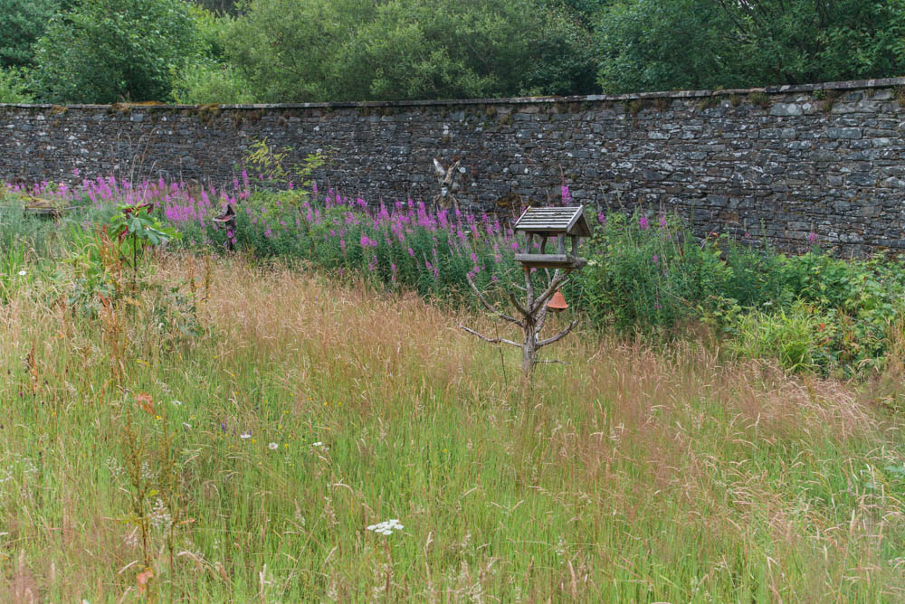 Glenfinnart-Walled-Garden-Ardentinny-Argyll-Forest-Park-2098.jpg