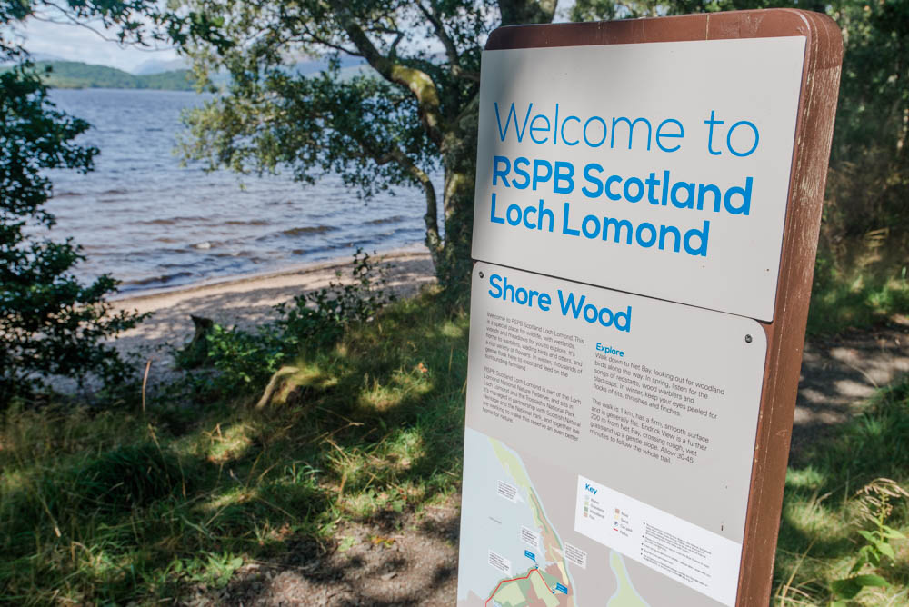 Shore Wood, Aber Shore, Loch Lomond