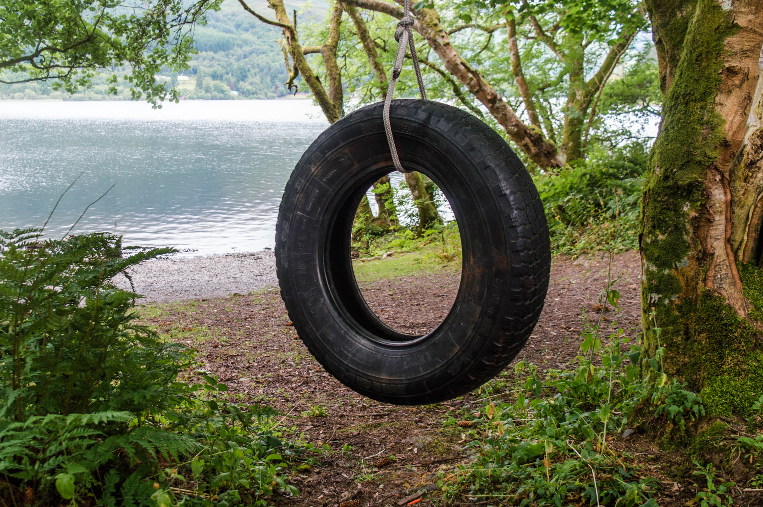 Tyre Swing