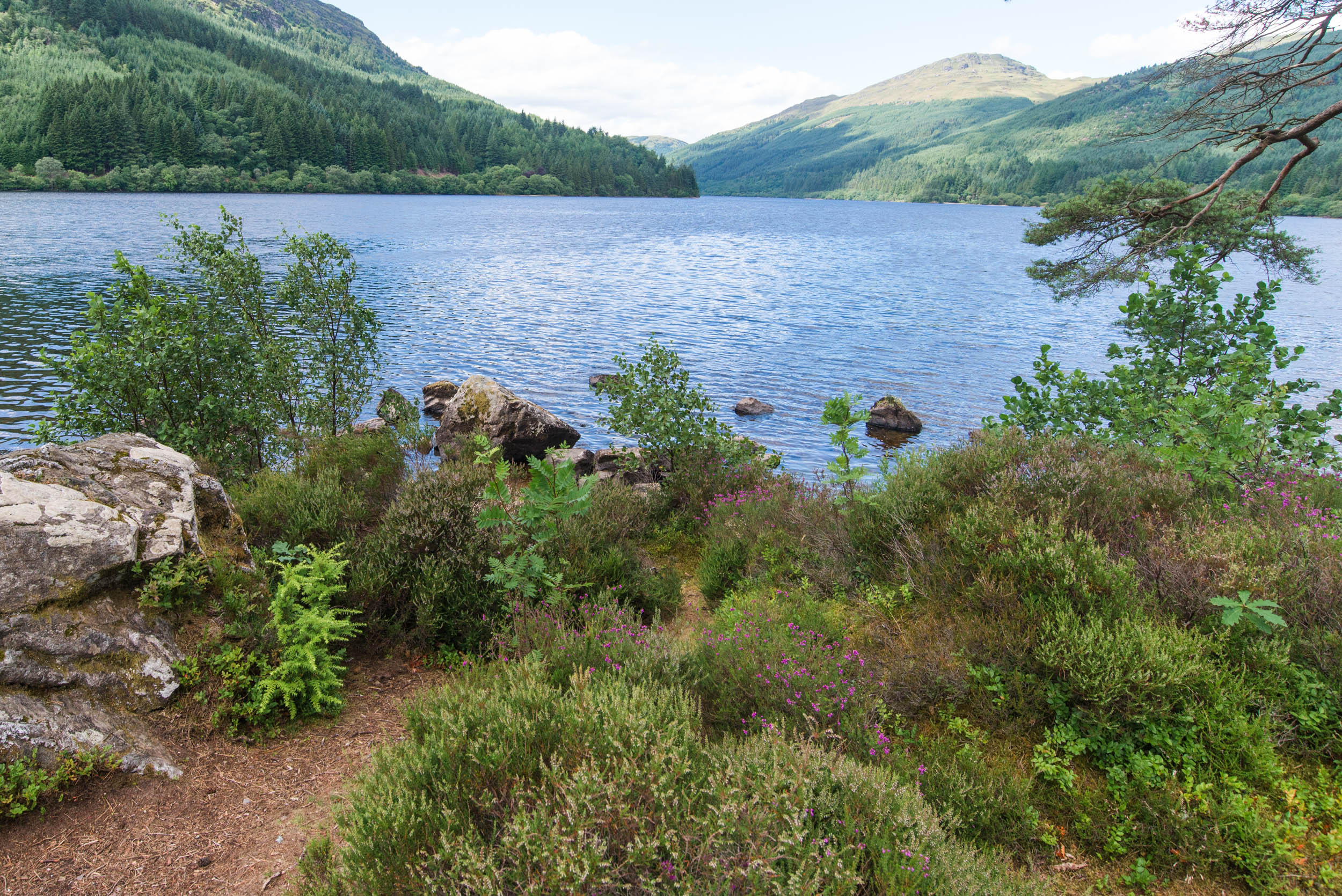 Loch-Eck-2271.jpg