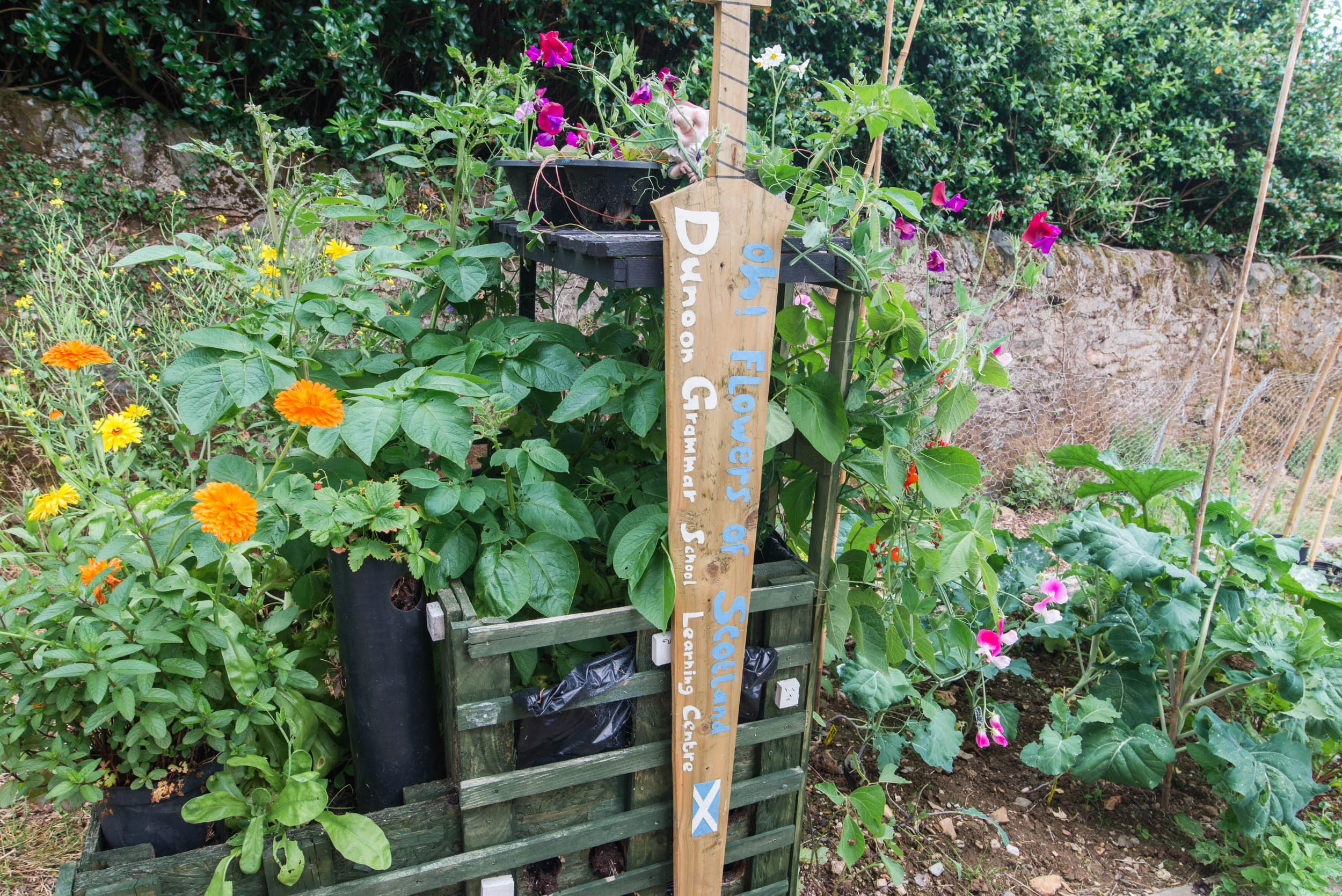 Visit Blairmore, Argyll on Cowal Peninsula — See Loch Lomond What to