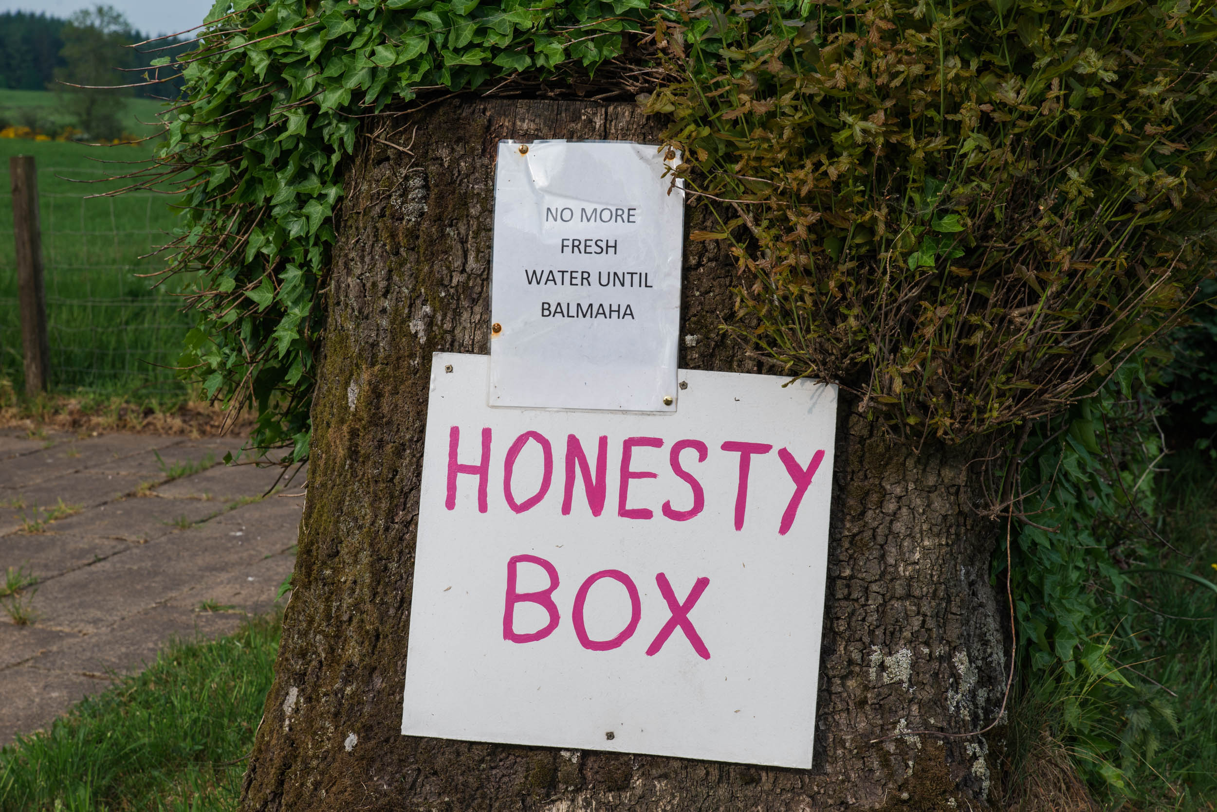 Honesty-Box-9027.jpg