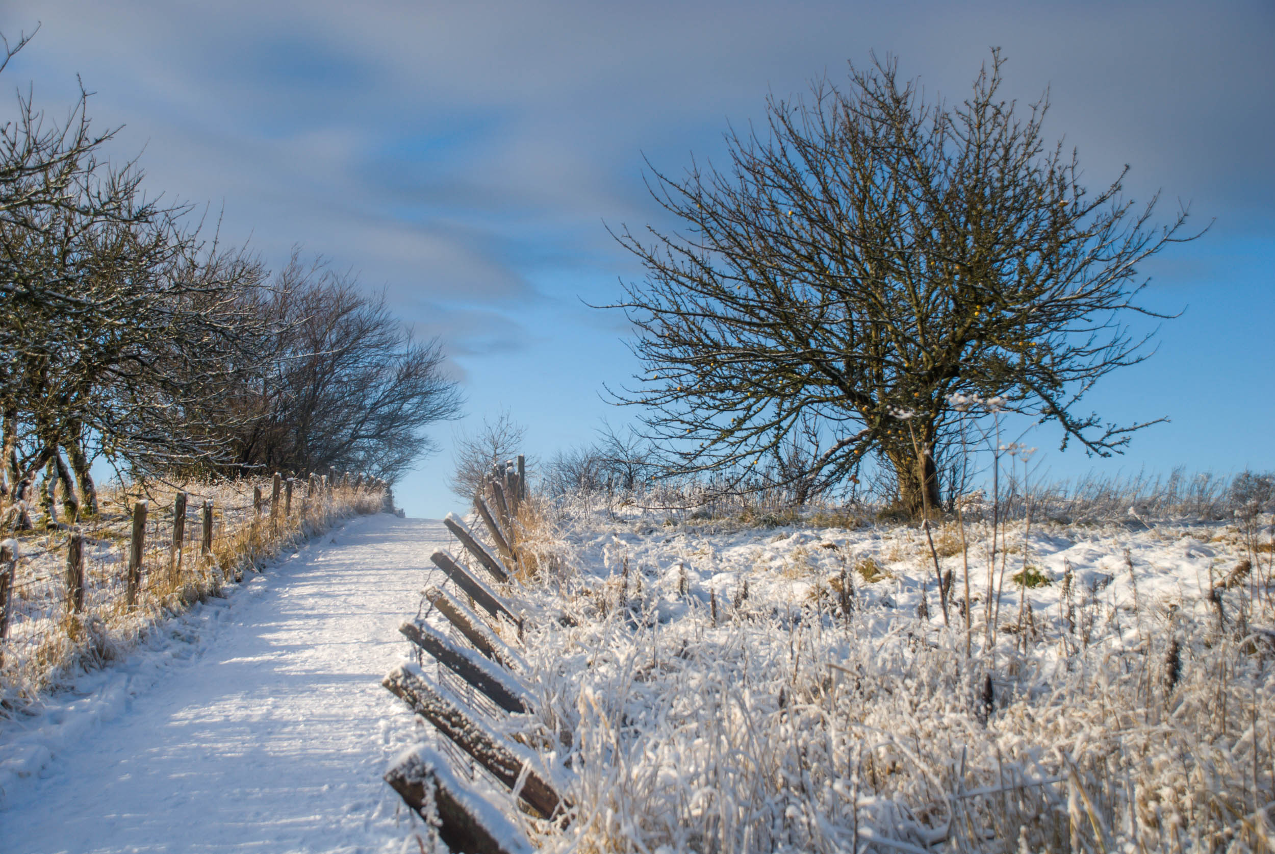 Viewpoint Path