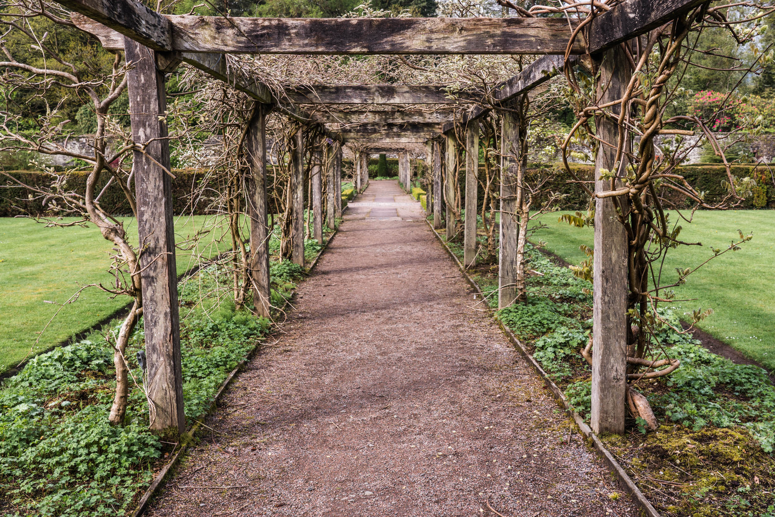 Walled Garden Balloch Castle Country Park, Loch Lomond