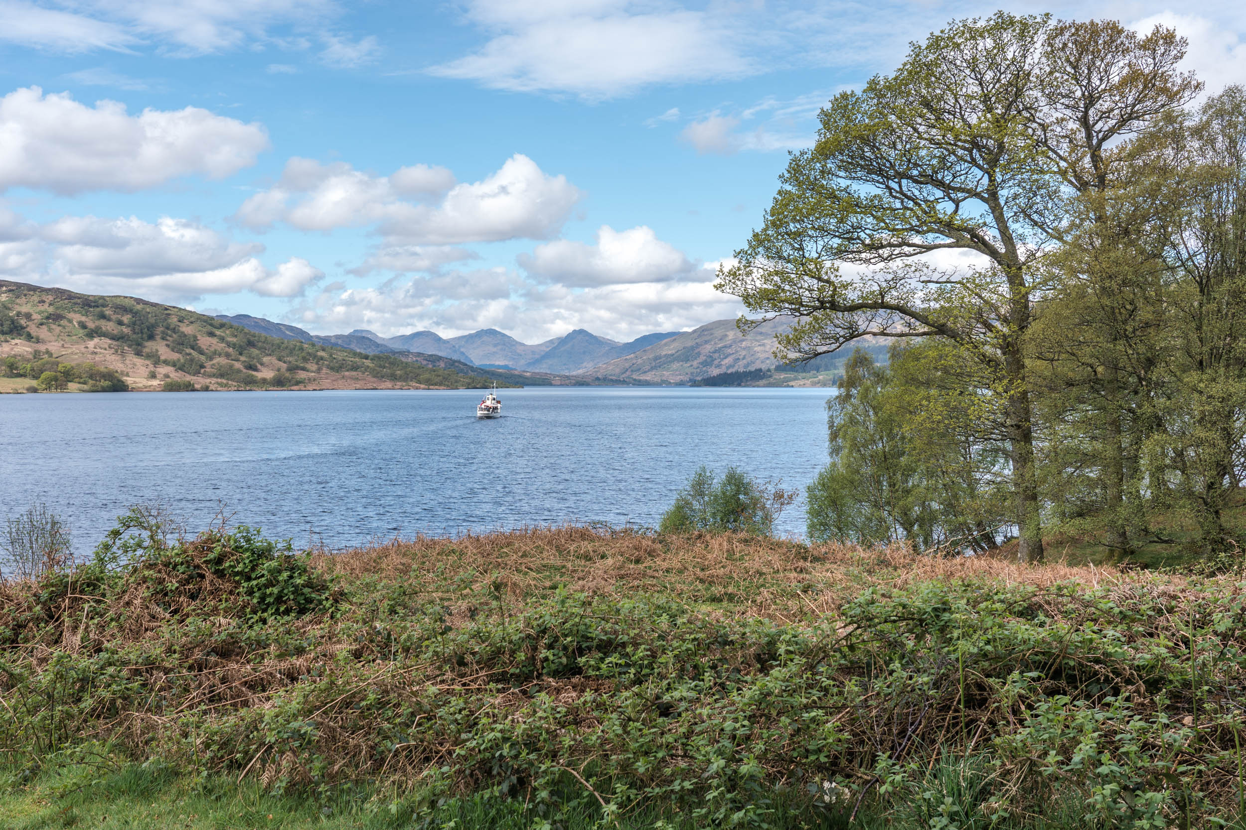 Brenachoile-Point-Loch-Katrine-02981.jpg