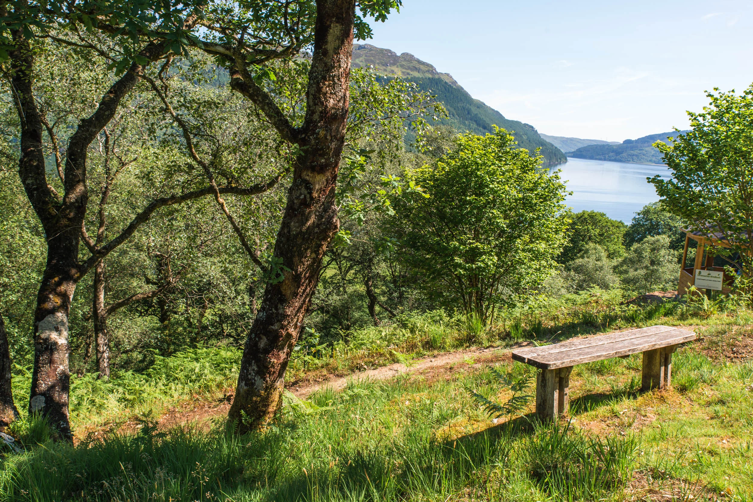 Cormonachan Woodlands, Loch Goil