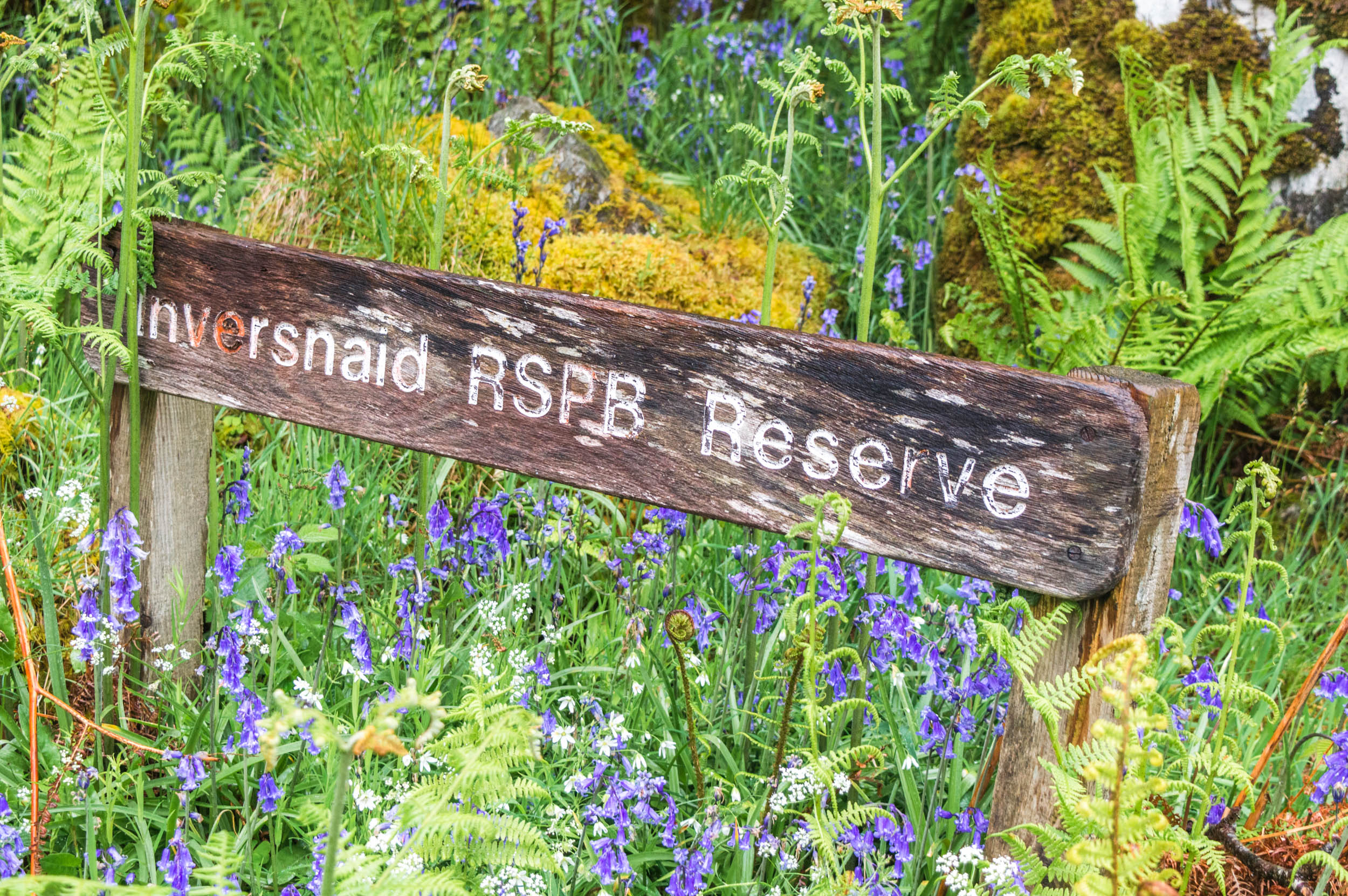Inversnaid RSPB Reserve