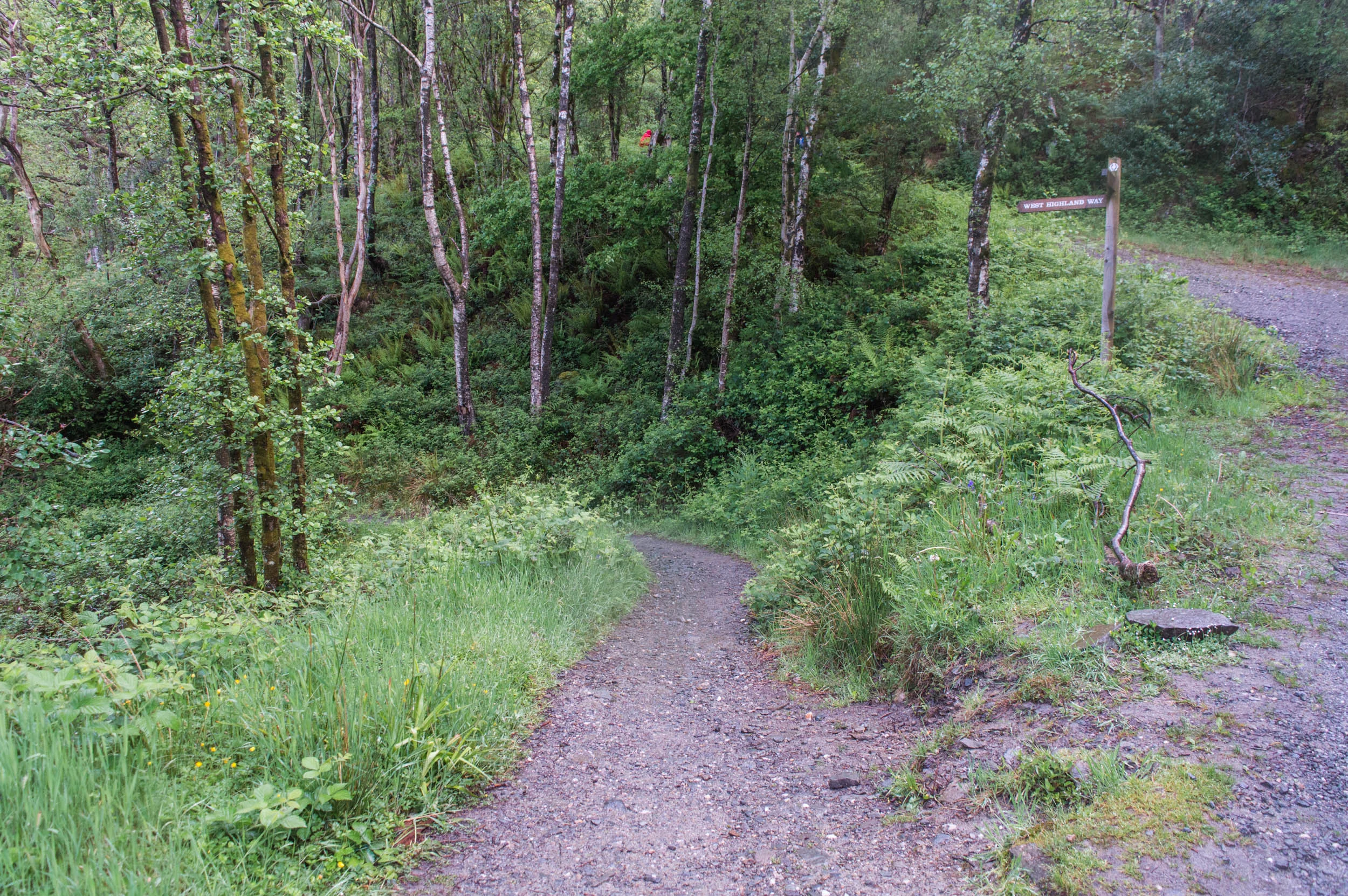 The shore path