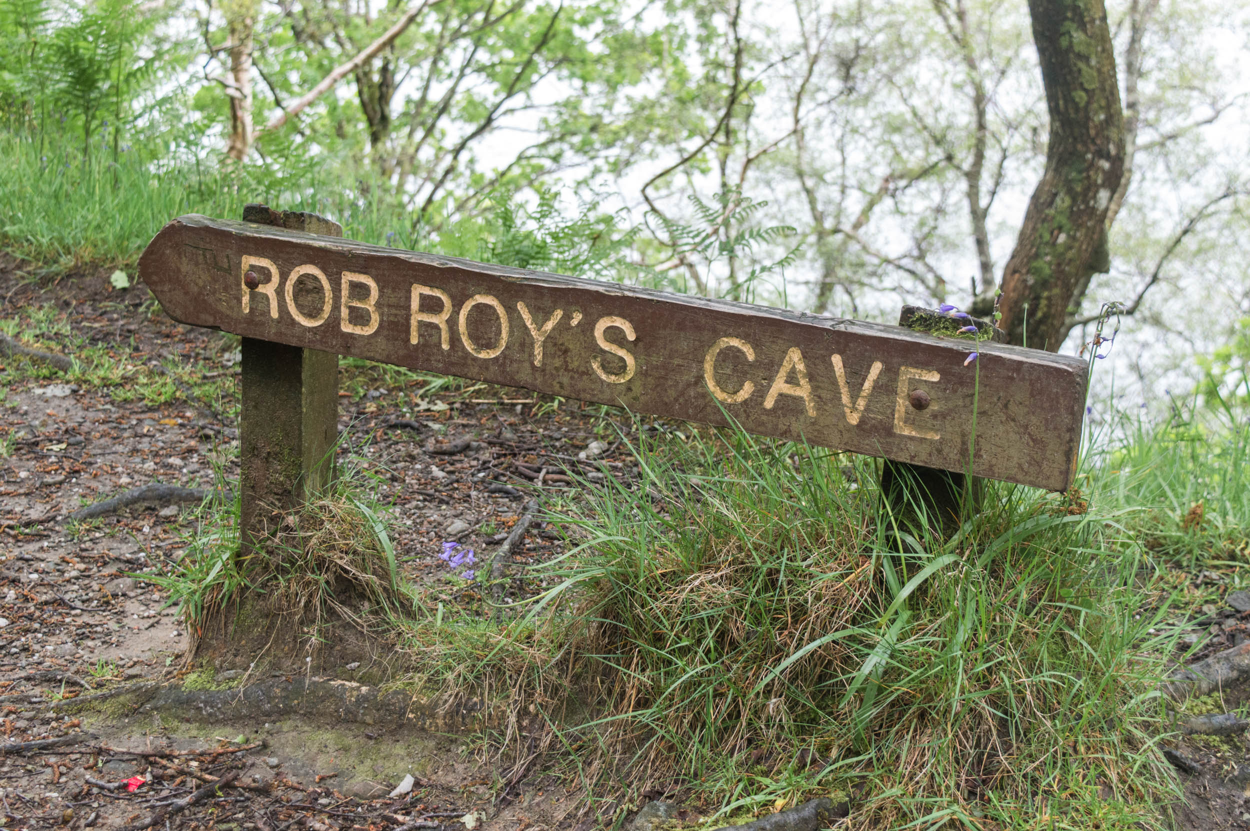 Rob-Roys-Cave-0167.jpg