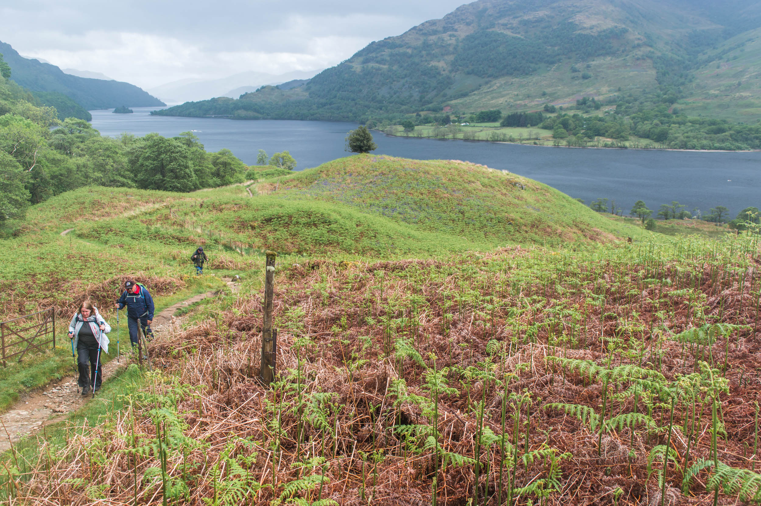 West-Highland-Way-Inverarnan-0274.jpg