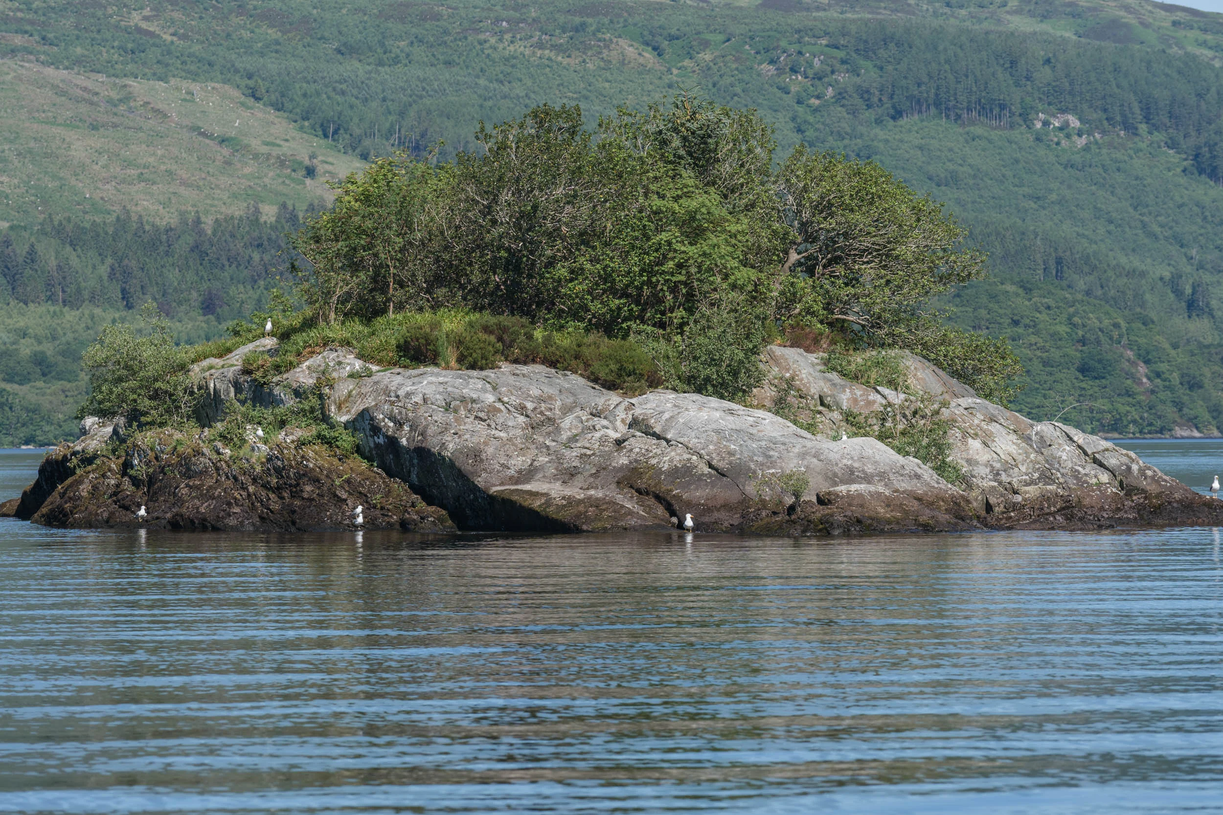 Ross Islands, Loch Lomond