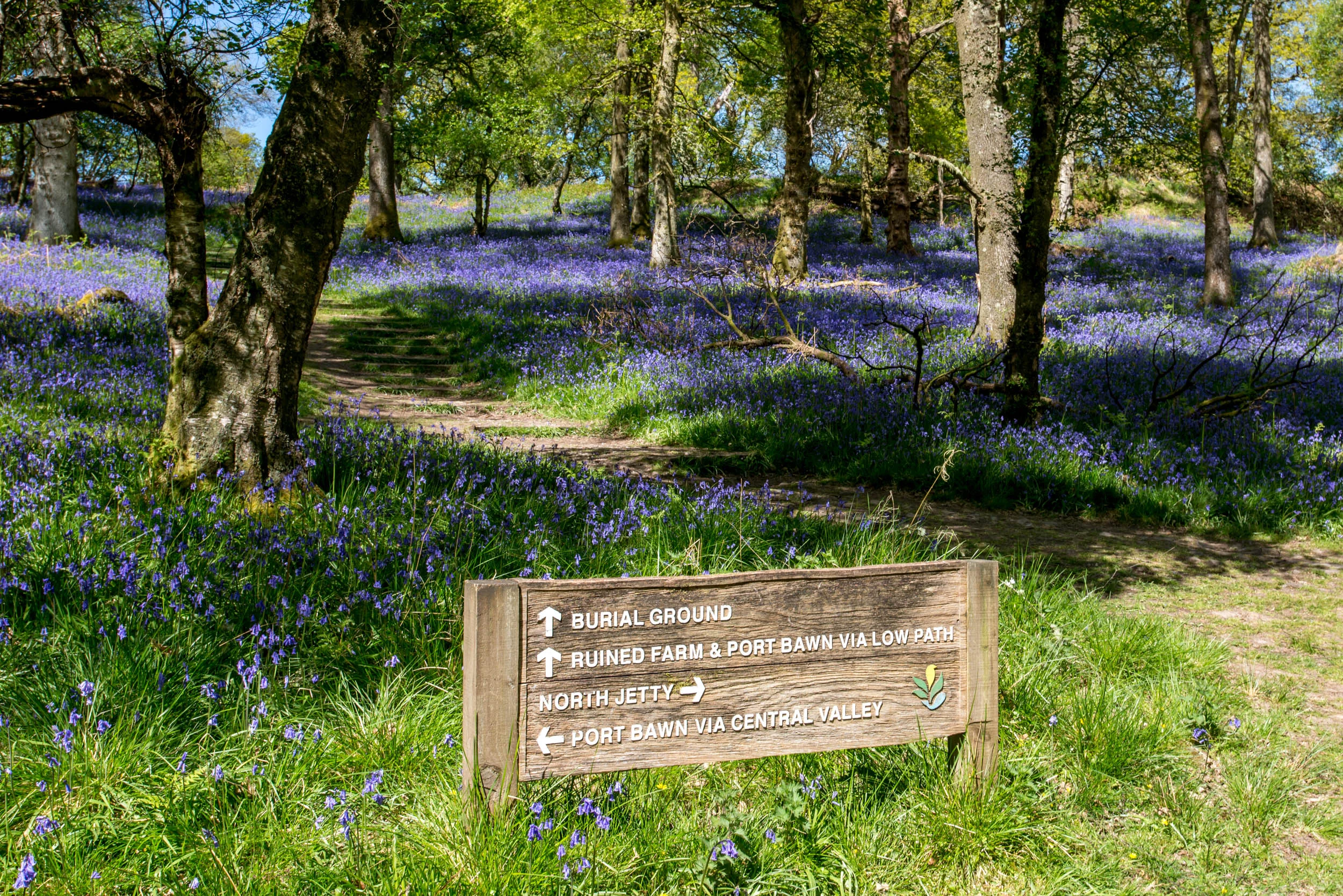 Inchcailloch Island, Loch Lomond