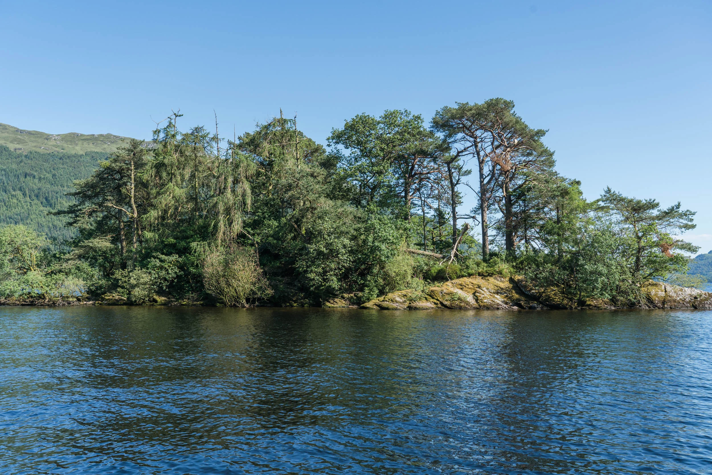 Tarbet Isle, Loch Lomond