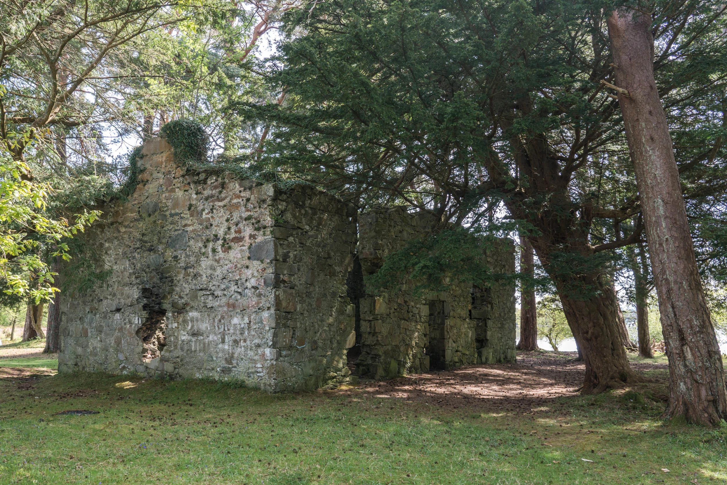 Inchmoan Island, Loch Lomond