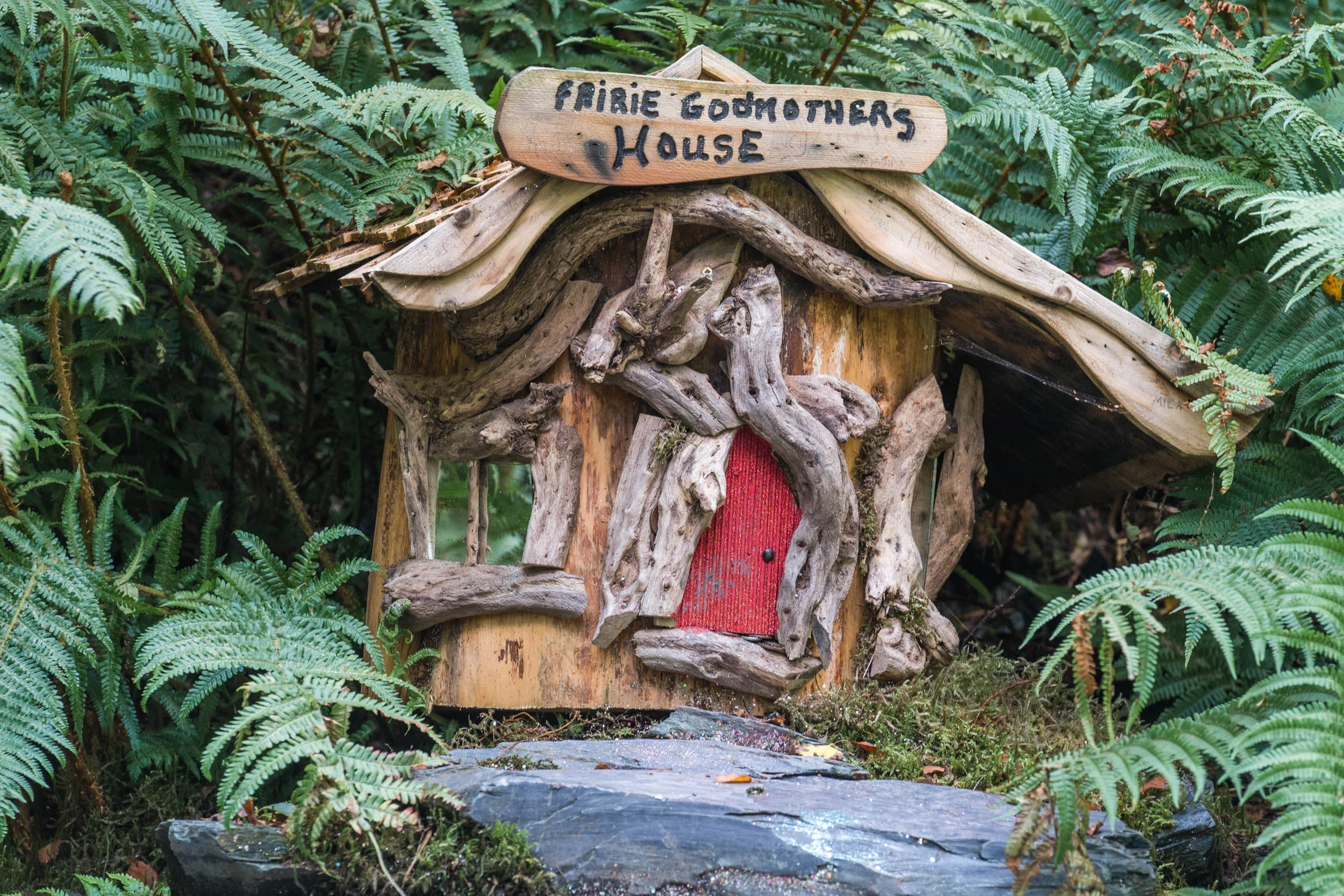 LL-Faerie-Trail-00182.jpg