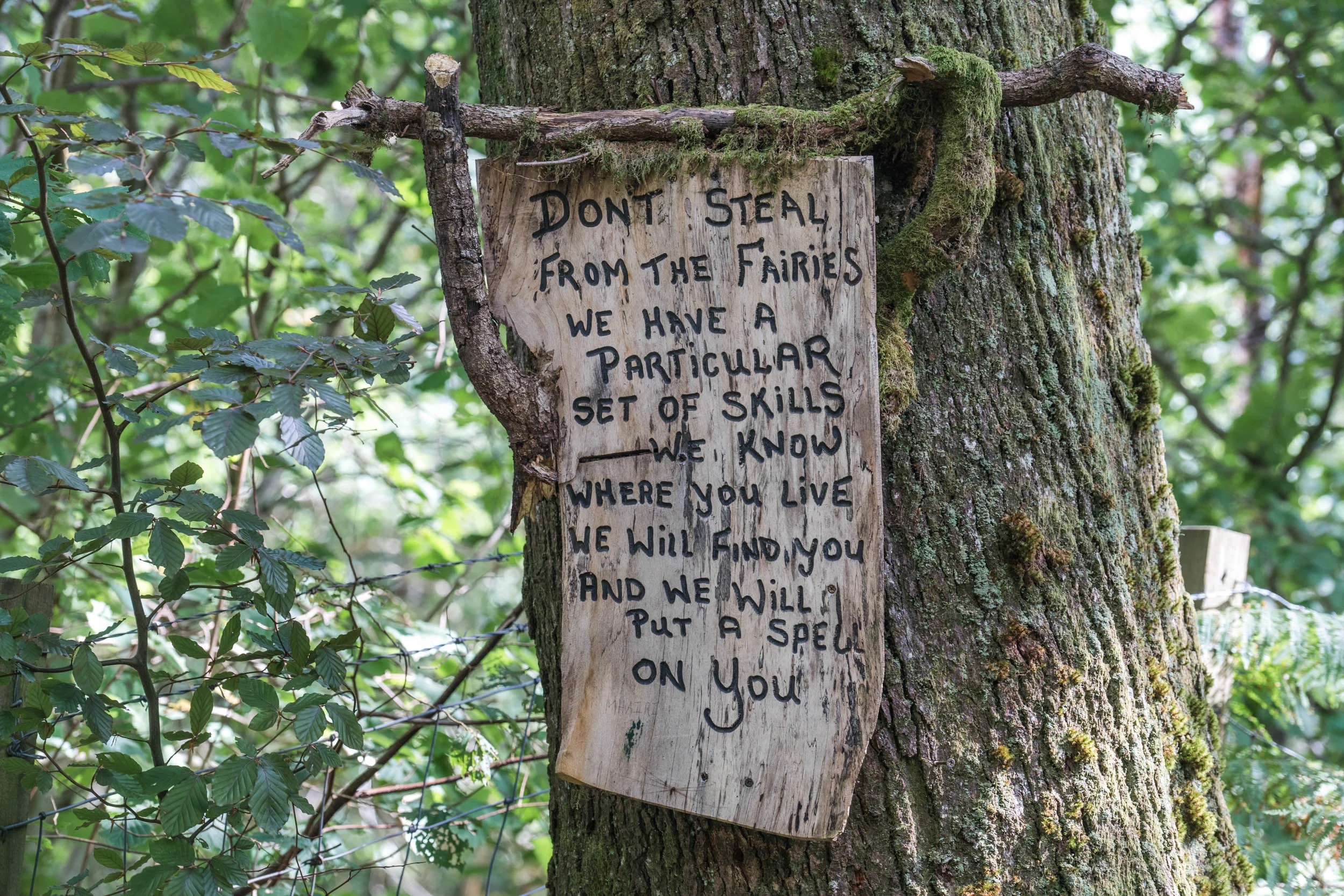 LL-Faerie-Trail-00187.jpg