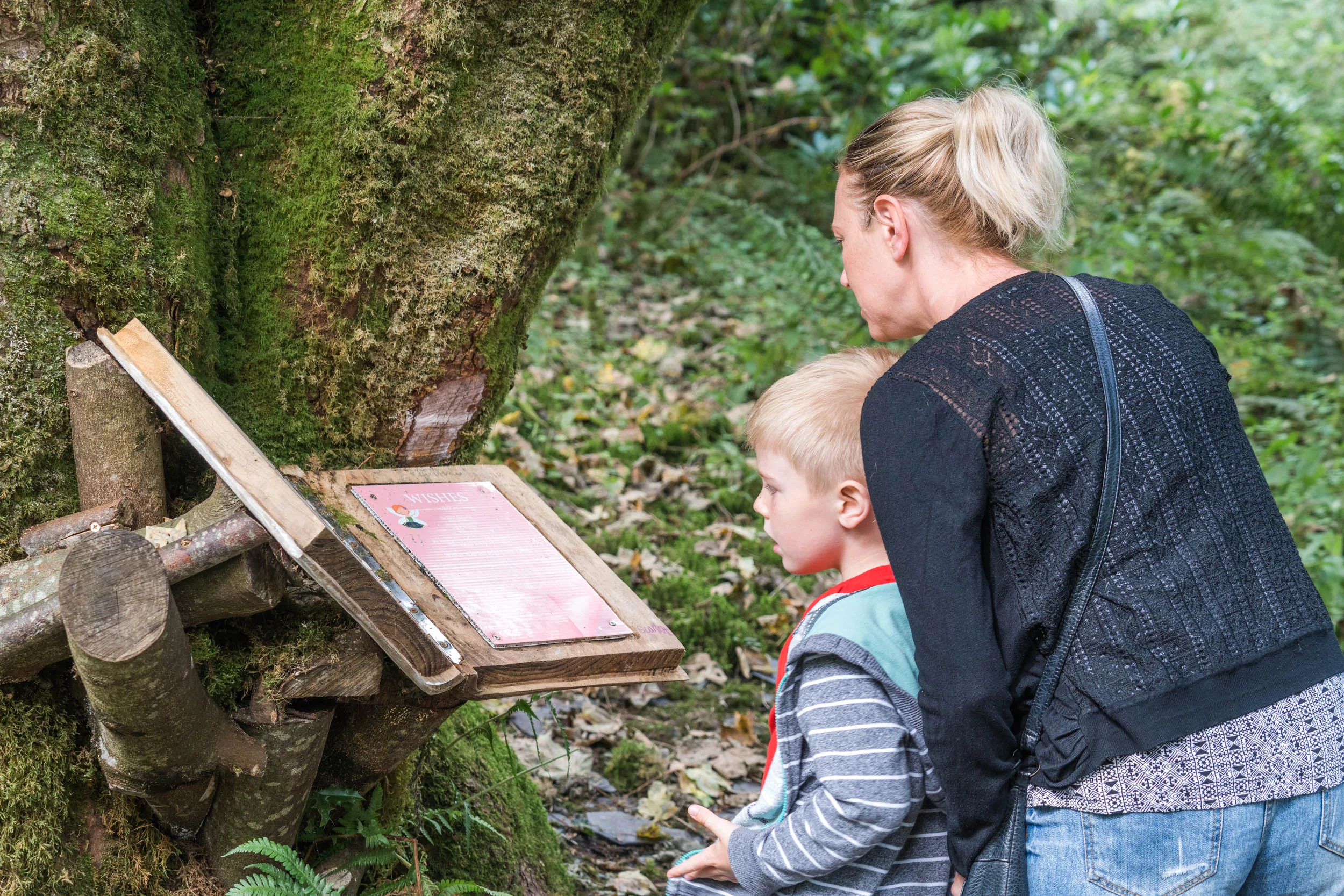 Loch Lomond Faerie Trail, Luss