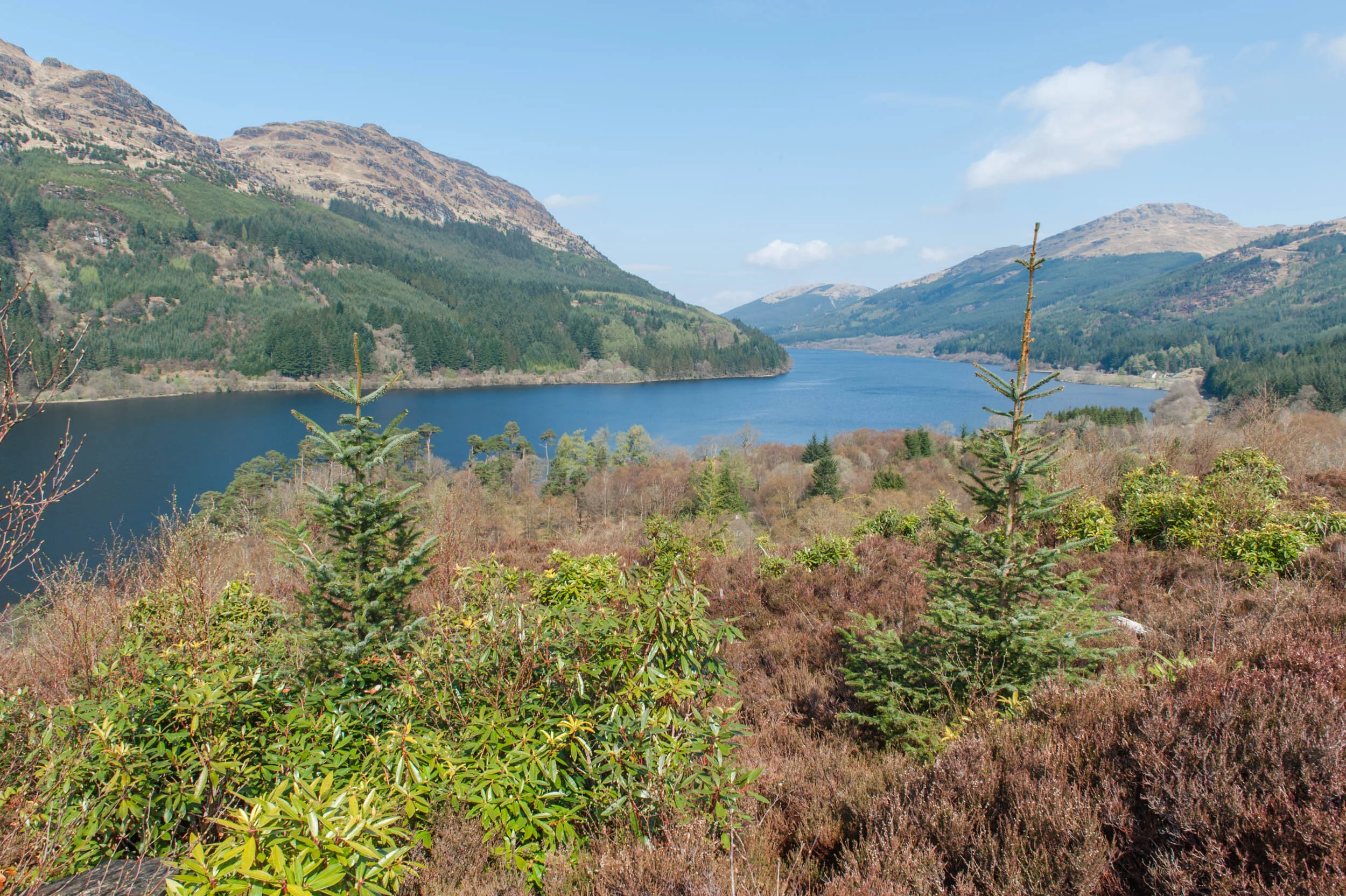 Visit Loch Eck in Argyll Forest, Cowal — See Loch Lomond What to do