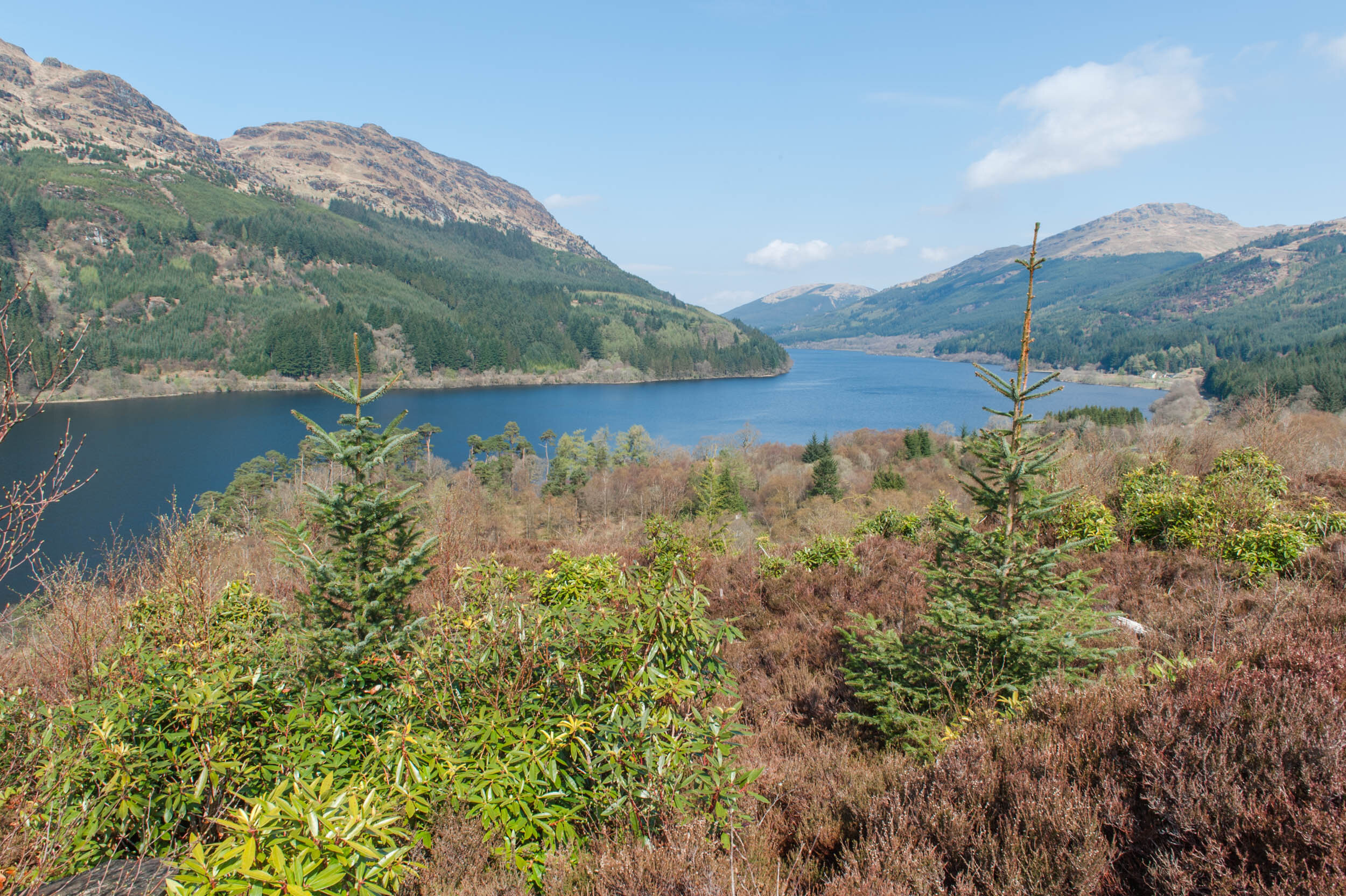 Visit Loch Eck In Argyll Forest Cowal See Loch Lomond What To Do In Loch Lomond And Trossachs