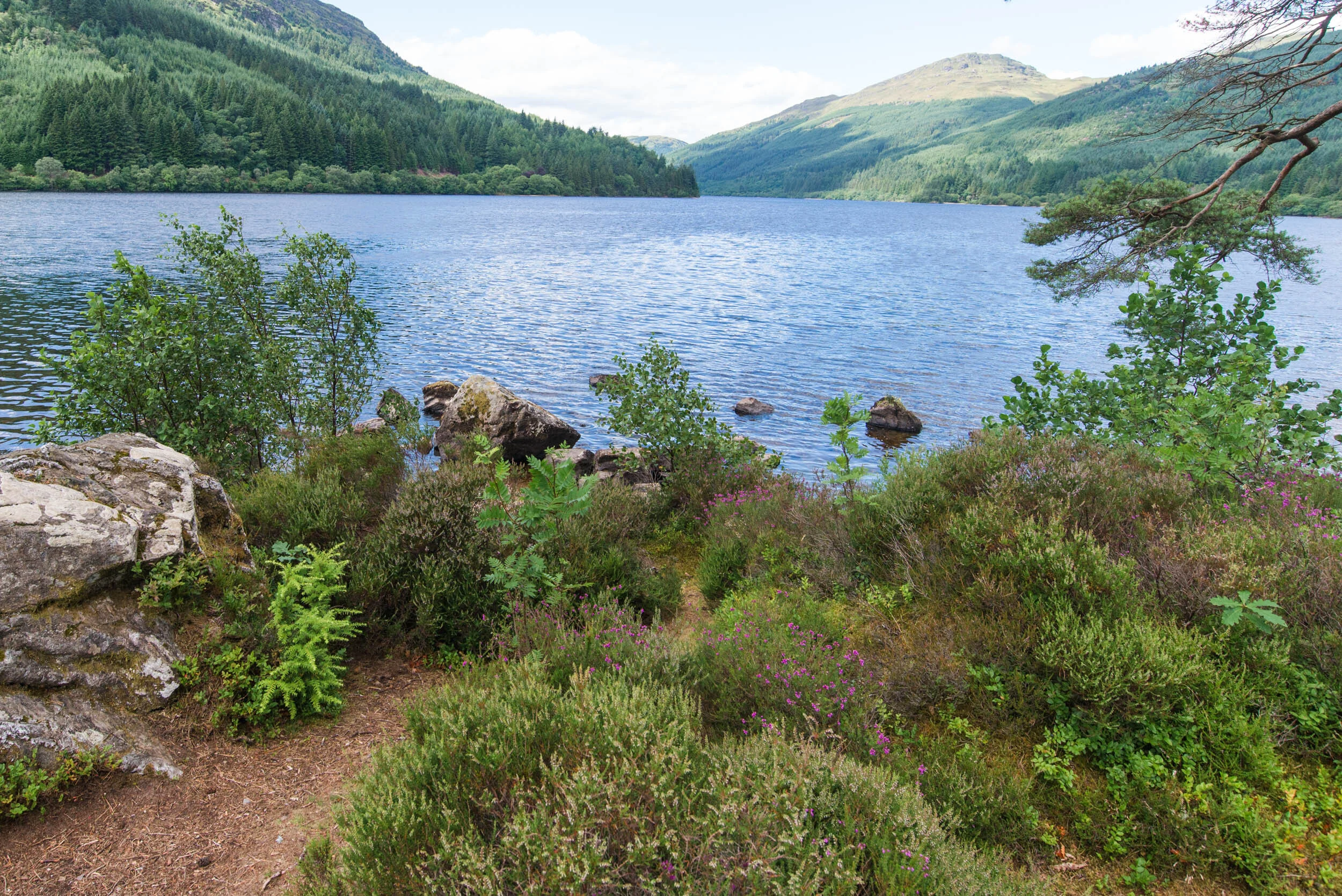 Visit Loch Eck in Argyll Forest, Cowal — See Loch Lomond