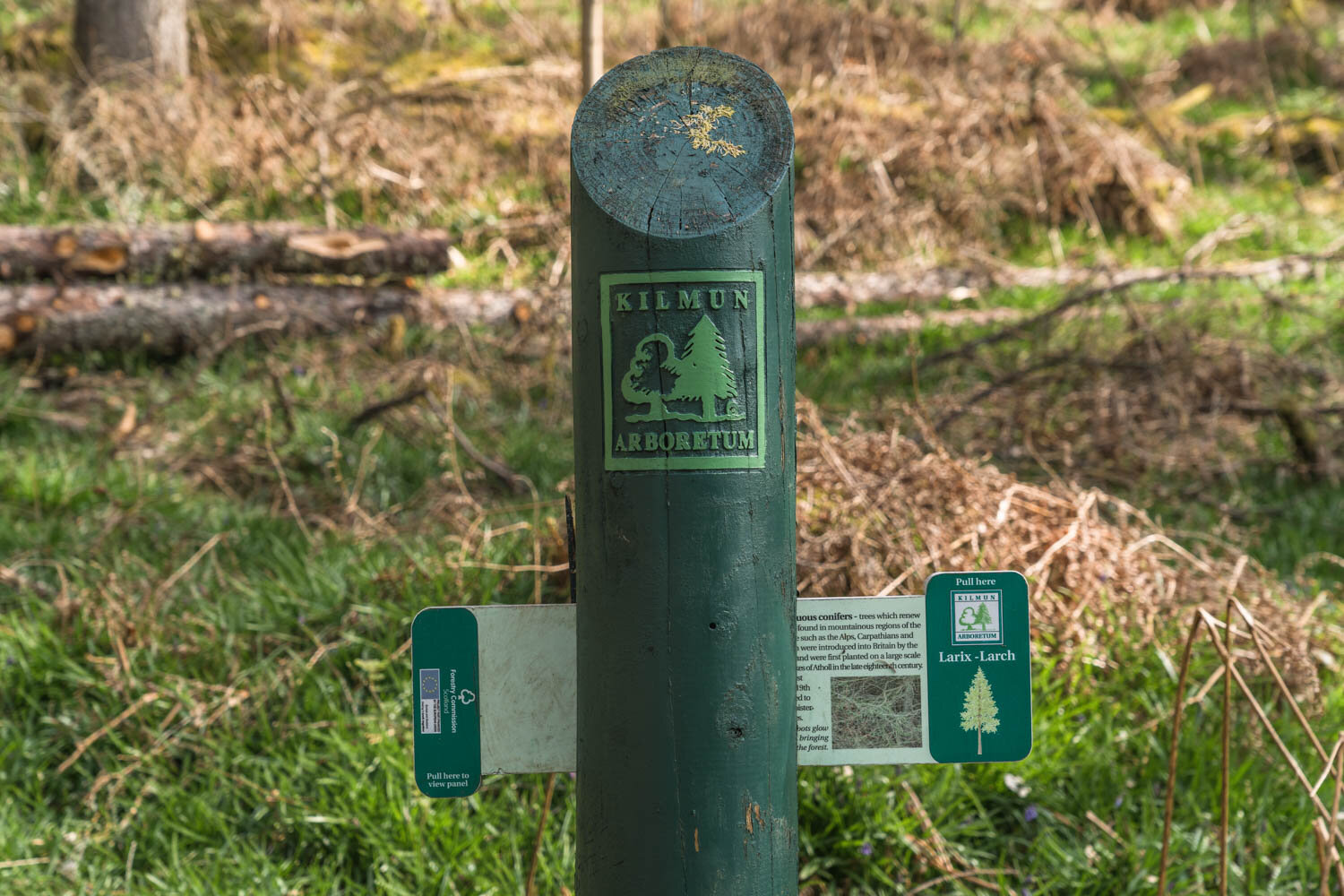 Guide to Kilmun Arboretum, Dunoon, Cowal Penninsula
