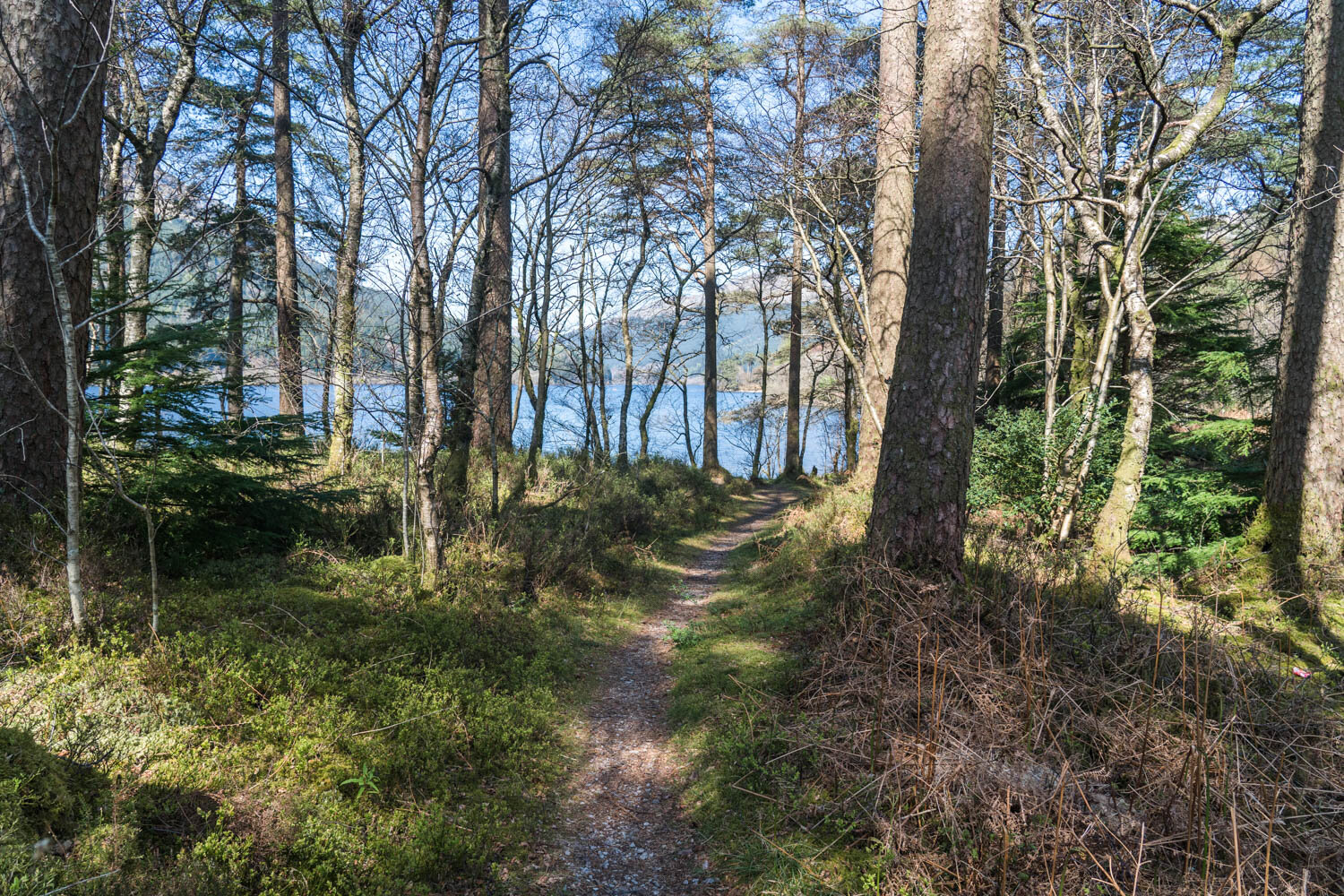 Loch Eck Argyll Forest Cowal Penninsuala-3.jpg