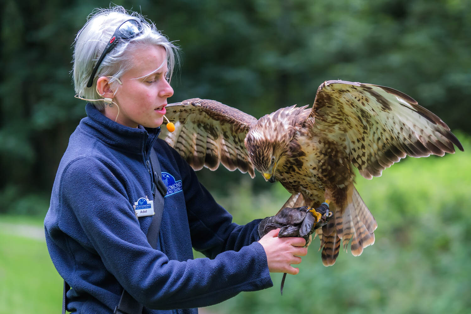 Opening Times & Prices for the National Centre for Birds of Prey