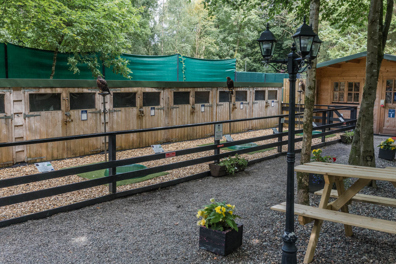 Loch Lomond Bird of Prey Centre