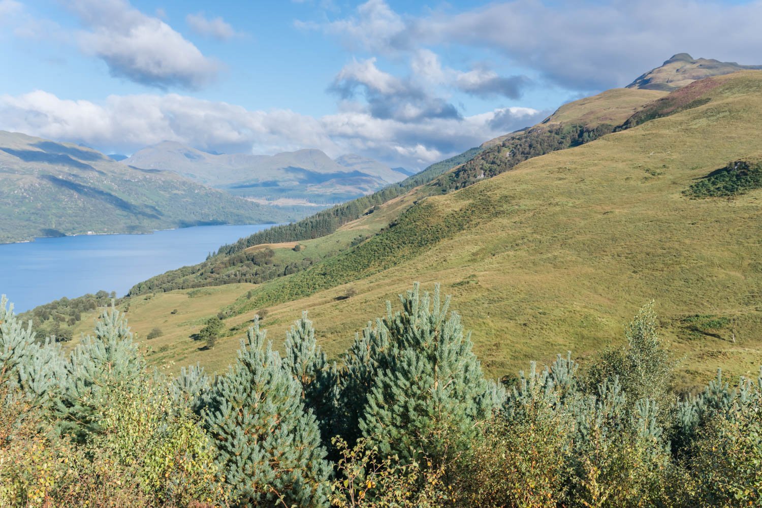 Ben Lomond Trail View 