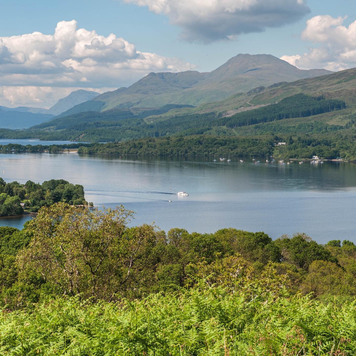 Our guide to Climbing Ben Lomond is the most read guide on the See Loch Lomond website, here is a picture of the Munro taken from Inchcailloch Island #inchcailloch #benlomond #seelochlomond #munro #munrobagging #nationalparks #scottishhighlands