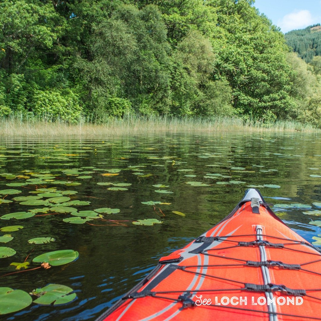 Popular for wild swimming, fishing and forest walks, Loch Chon is a quieter Trossachs gem. Book a pitch at the forest campsite and enjoy the calm water and clear night skies.
#seelochlomond #lochchon #campinglife #stargazing
Plan your visit at seeloc