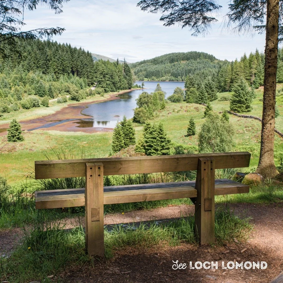 Take the scenic route through the heart of the Trossachs on the Three Lochs Forest Drive, a 7-mile one-way adventure linking Loch Re&ograve;idhte, Loch Drunkie, and Loch Achray. Open from spring to late autumn, the route offers stunning picnic spots,