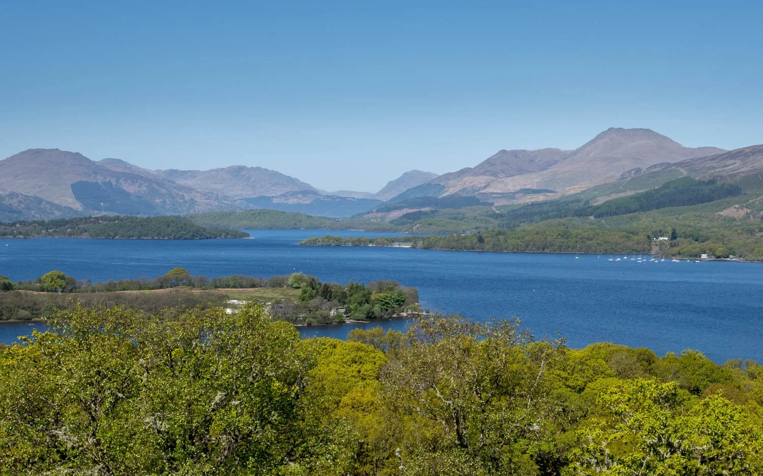 Best Views of Ben Lomond — See Loch Lomond What to do in Loch Lomond