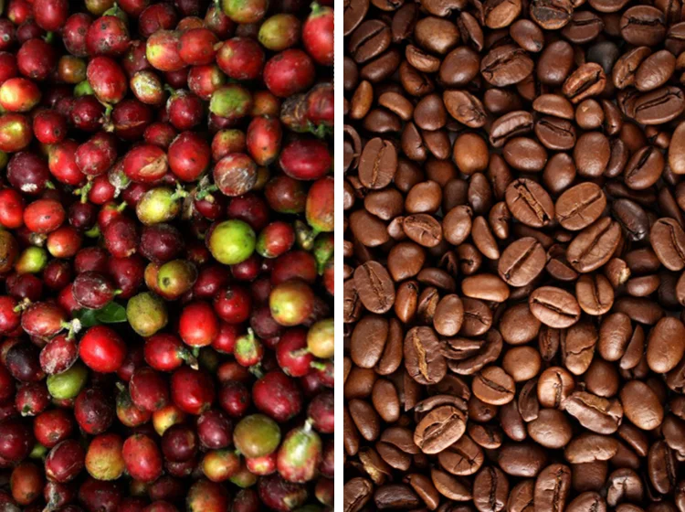 TVOF-Blog-Images-Coffee.jpg
