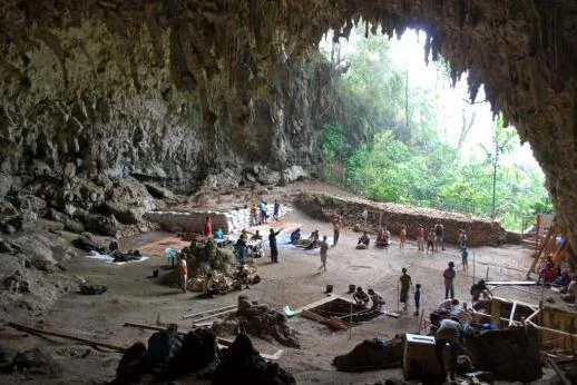 Archeological excavations at Liang Bua.