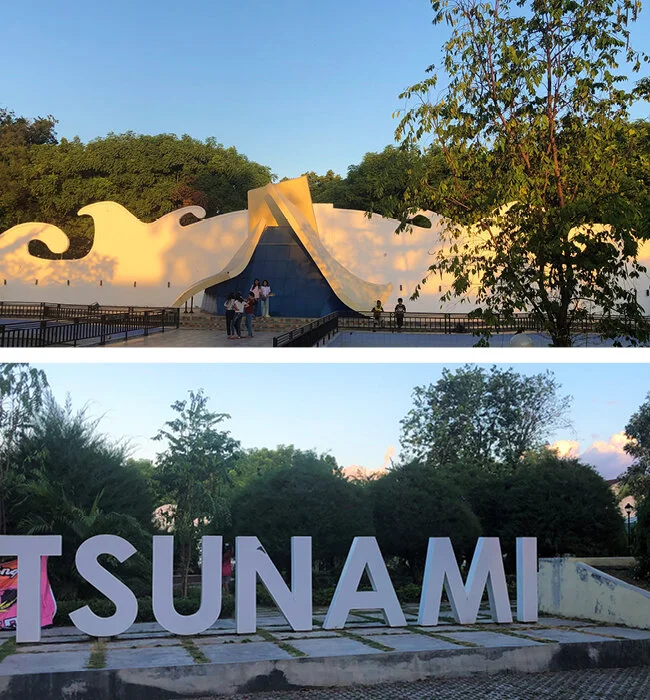 VOF-tsunami-.jpg