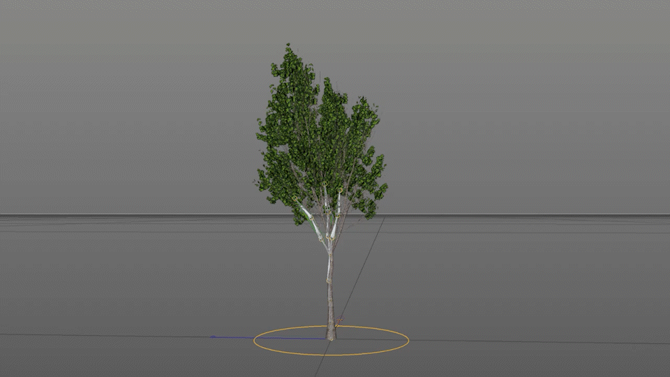 Trees_1.gif