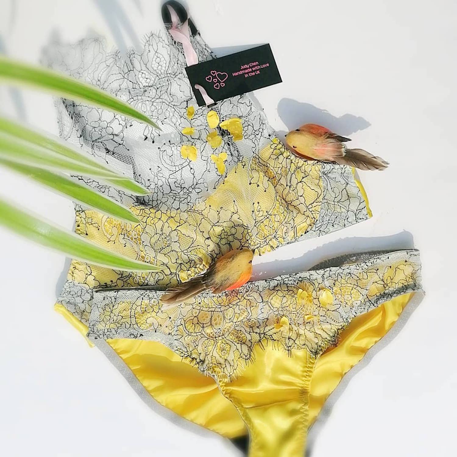 Silk lace bra set.jpeg