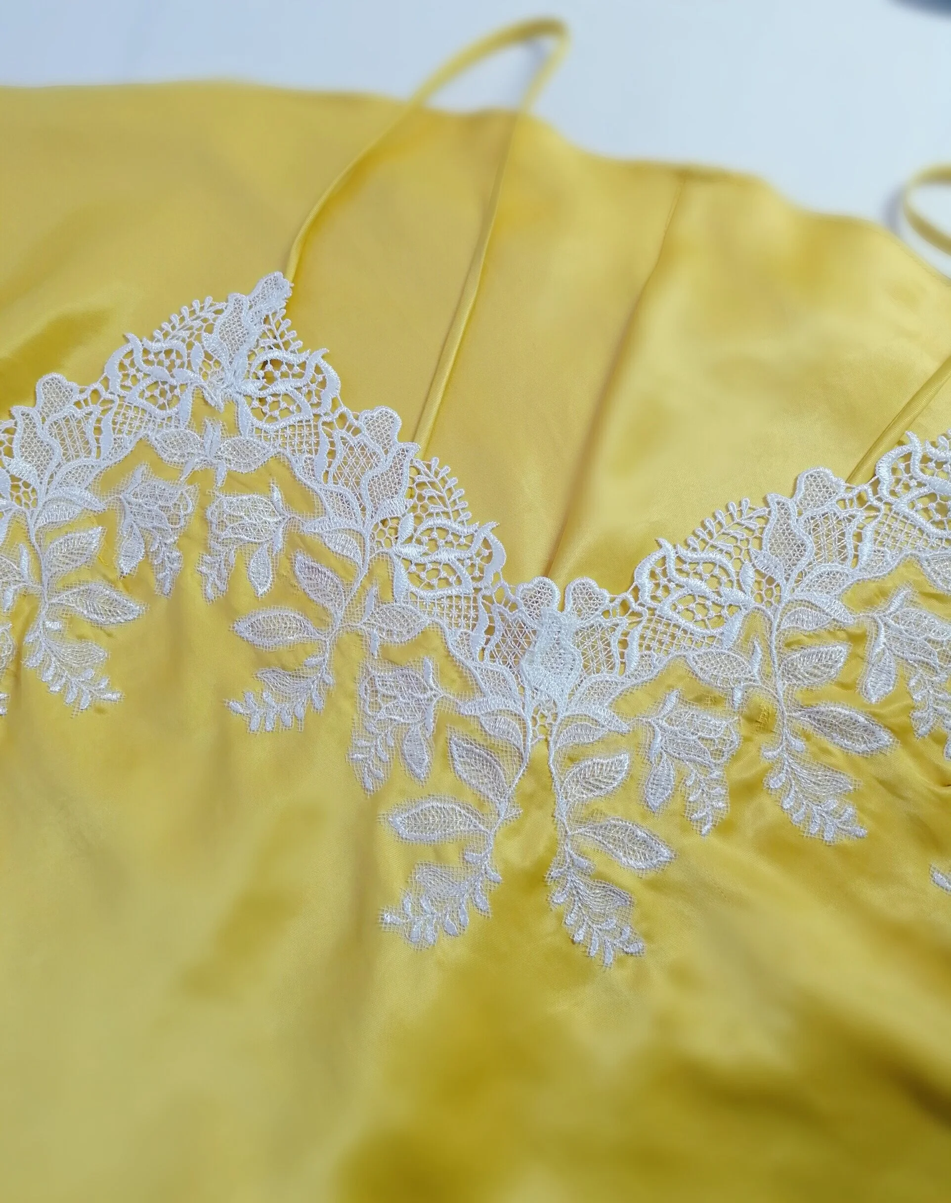 Silk lace slip .jpg