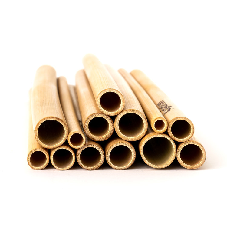 Cross section of bamboo drinking straws