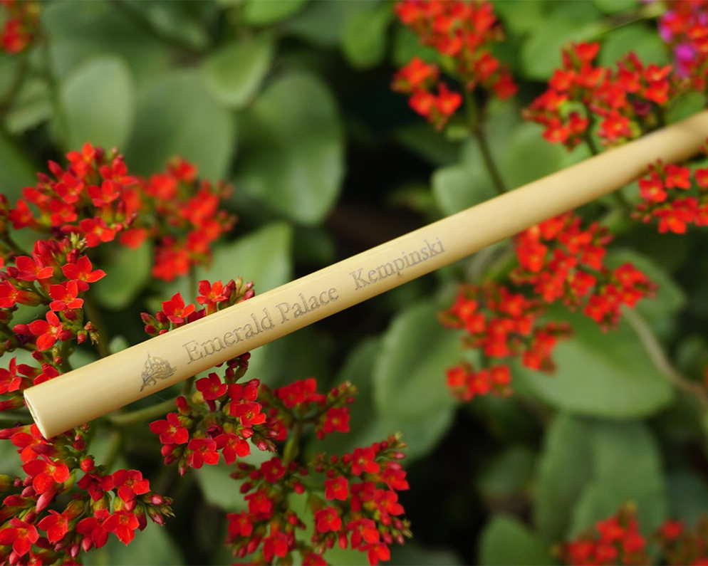 EDIT-Jungle-Straws-Engraved-Bamboo-Straws-Branded-Drinking-Straws-Business-Ship-Worldwide-Bulk-Straws.png