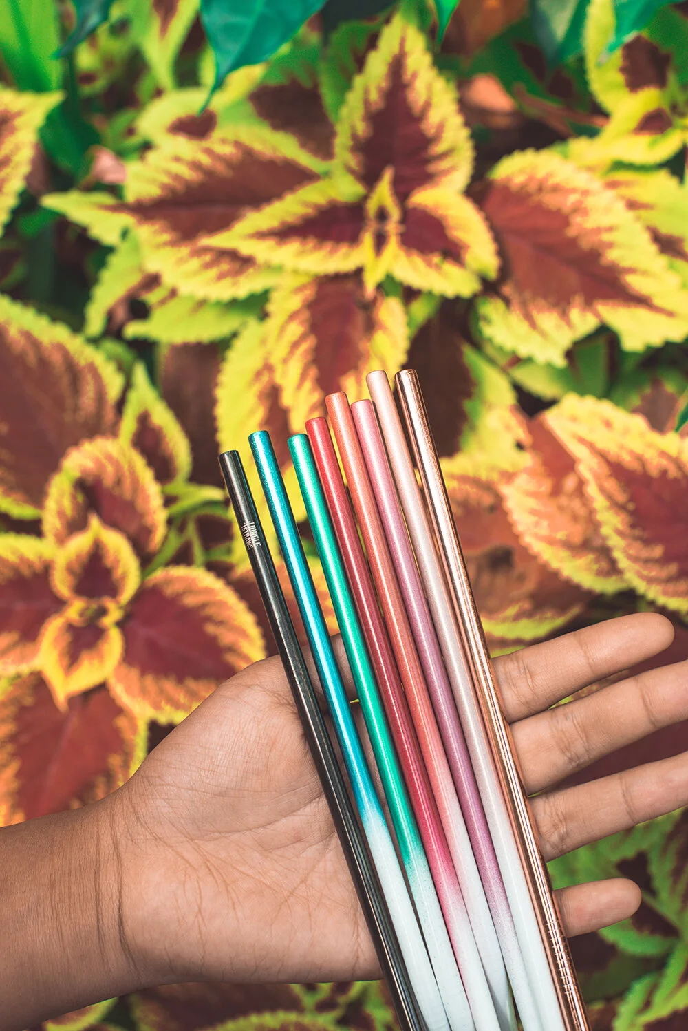 6 Reasons You Should be Talking About Bamboo Straws Jungle Straws