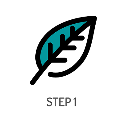 Bulk Bamboo Straws Wholesale Jungle Straws