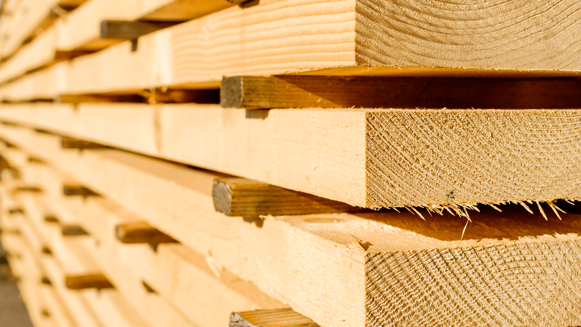 Timber.png