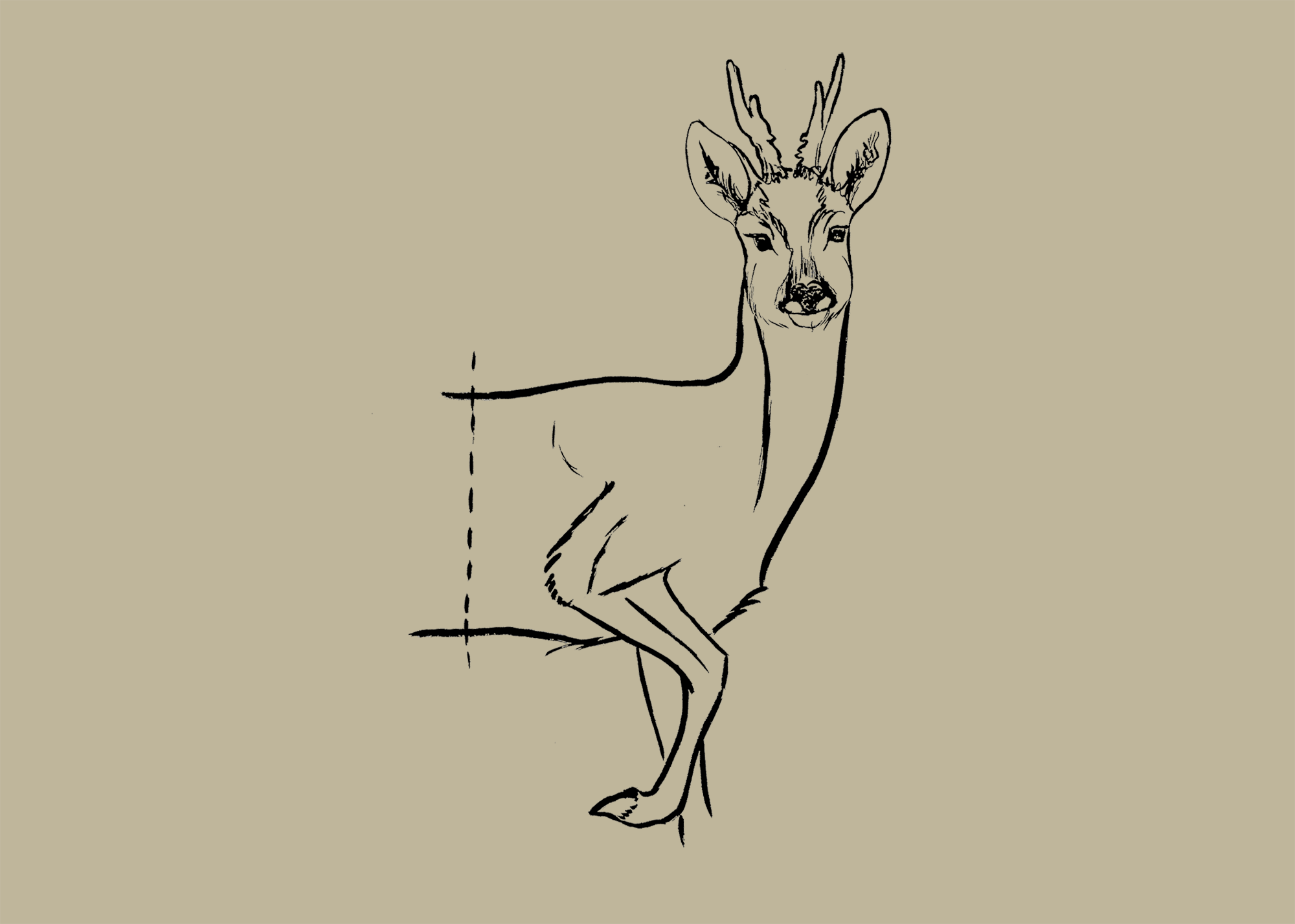 Sophia Tegel - R1 Brown.png