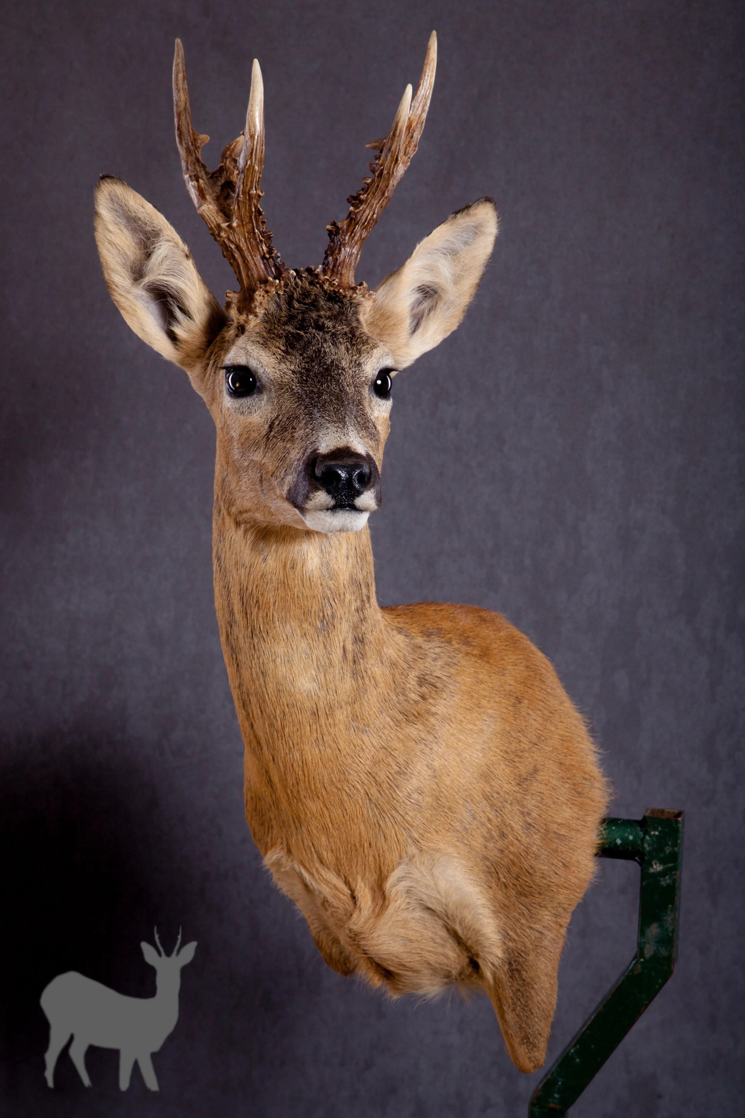 reh offset website.jpg