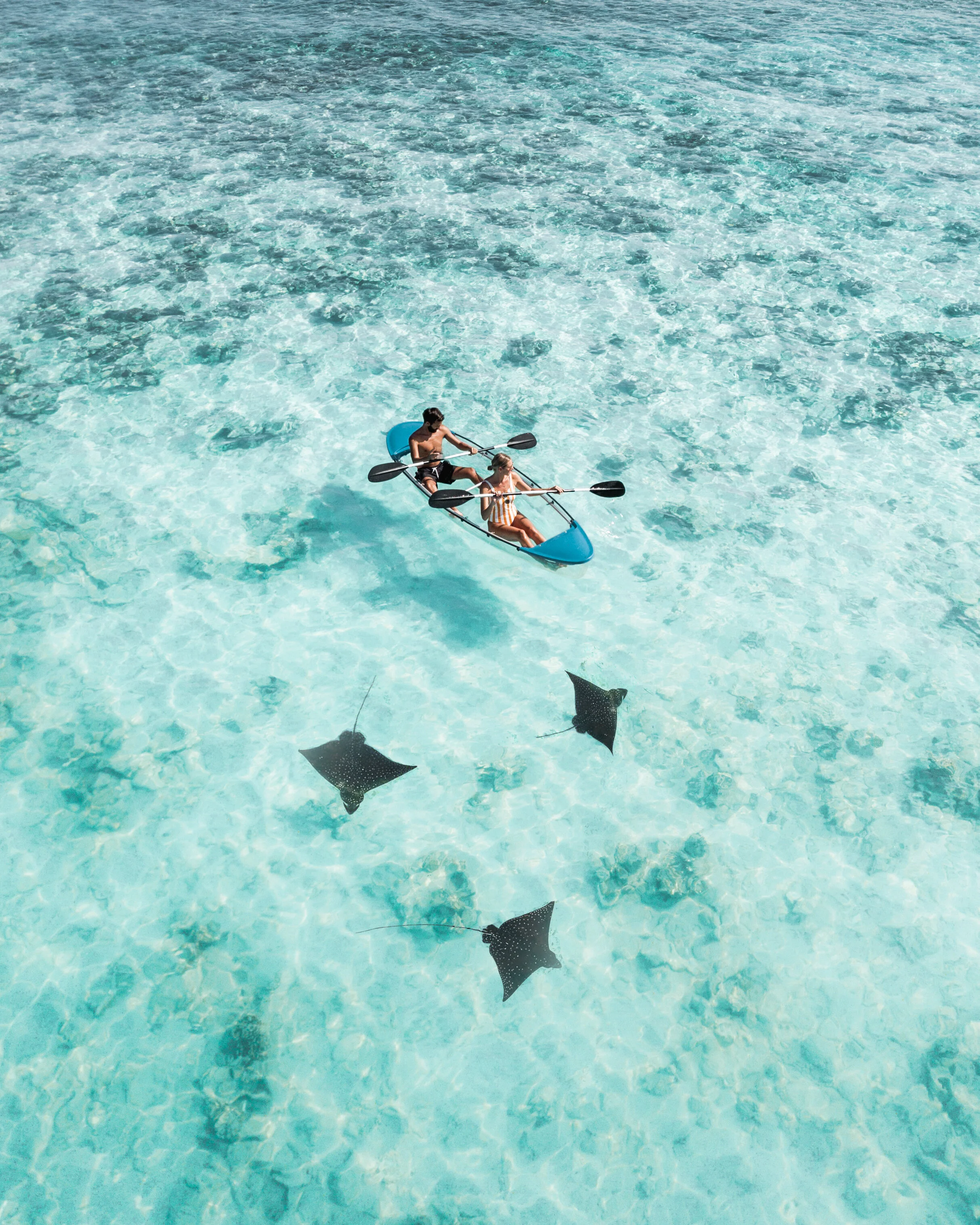 DJI_0055-Edit.jpg