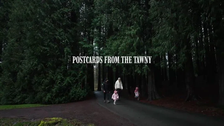 Your first visit to @thetawnyhotel rarely ends up being your last. Imagine all the best bits from a traditional hotel stay; an award winning restaurant, heated outdoor pool, amazing guest facilities combined with your own private cabin in the woods w