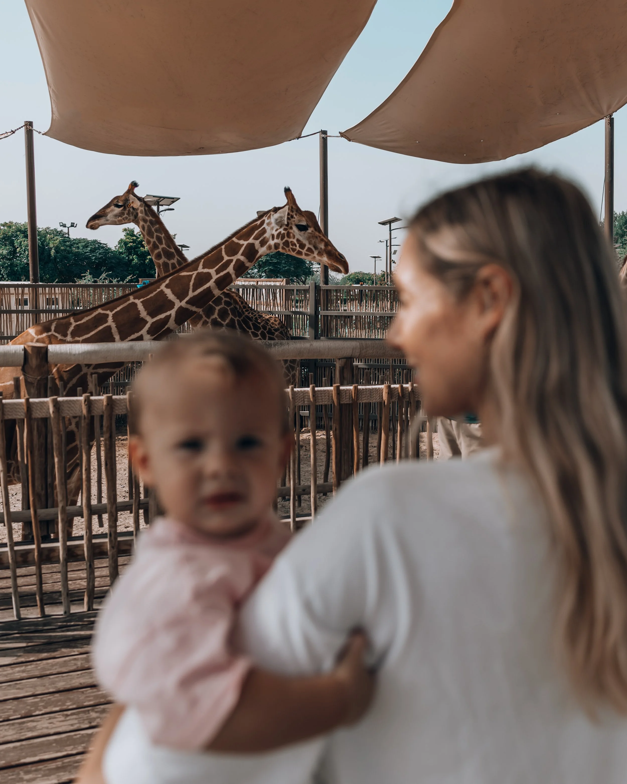 Dear Diary. January '22